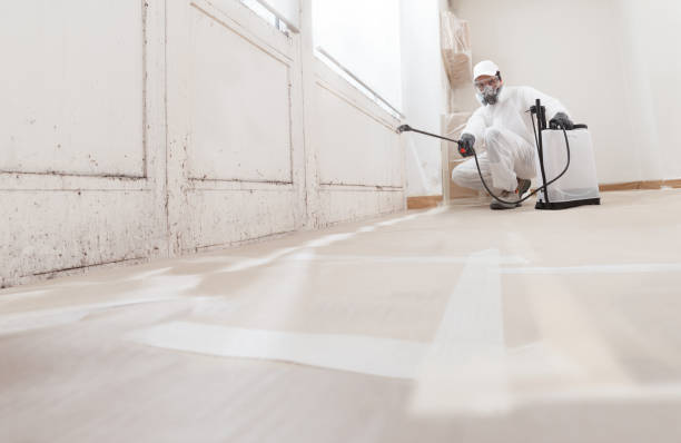 Trusted Mold Inspection service in Garfield, TX - WQB Mold Removal