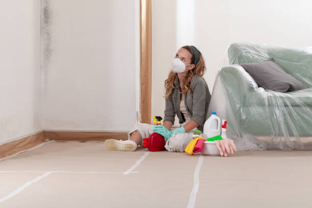 Reliable Mold Inspection contractor in Garfield, TX by WQB Mold Removal